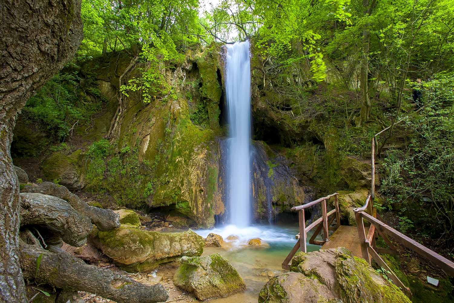 ripaljka